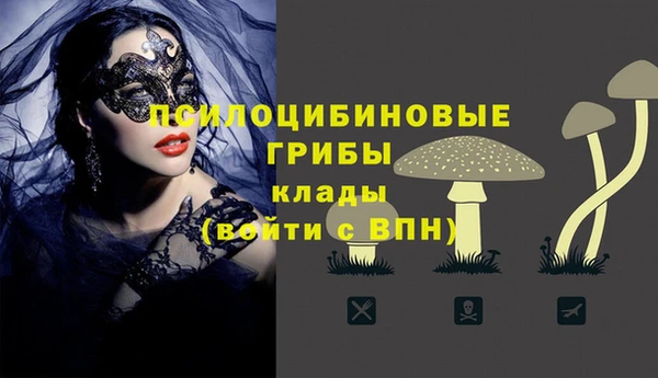 хмурый Белоозёрский