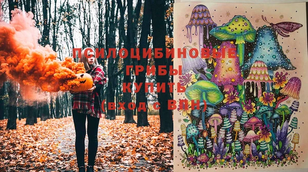 сатива Богородицк